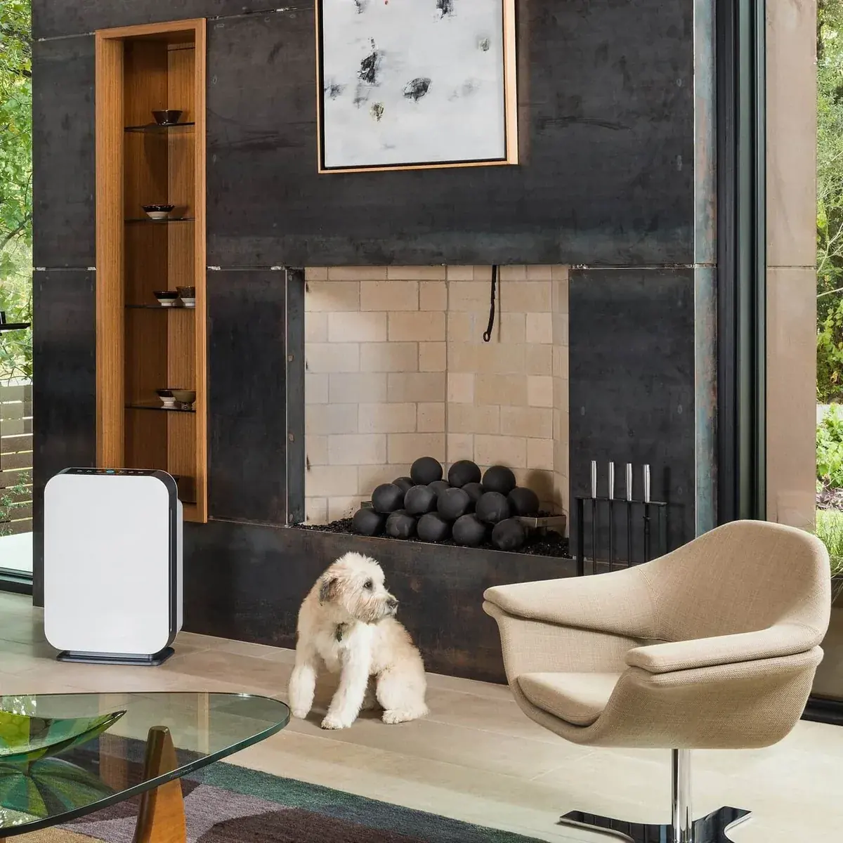 BreatheSmart 75i in a living room with a dog by the fireplace